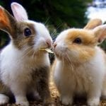 sharing-is-caring-the-positiv