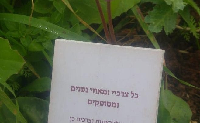 קלף גישה