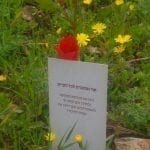 קלפי גישה לחיים יפים