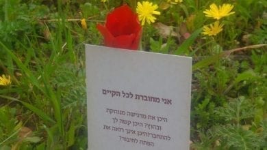 קלפי גישה לחיים יפים