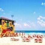 צילום: אמיל טגר