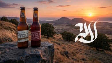 סדרת הבירות לזכרו של ענר (קרדיט: DIGIBIRD)